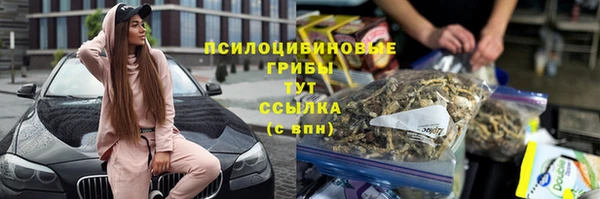 трава Бронницы